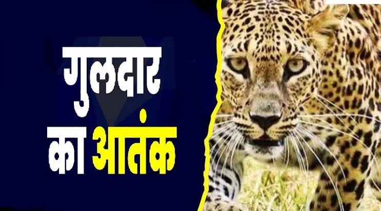 गुलदार नें 10 साल के बच्चे की ली जान, क्षेत्र में दहशत का माहौल!